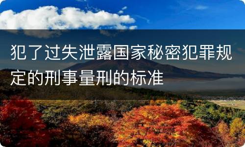 犯了过失泄露国家秘密犯罪规定的刑事量刑的标准