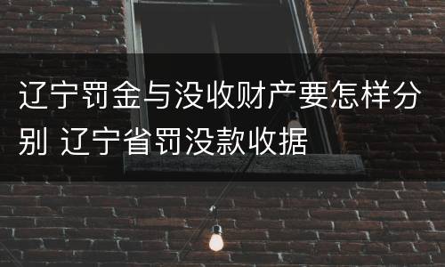 辽宁罚金与没收财产要怎样分别 辽宁省罚没款收据