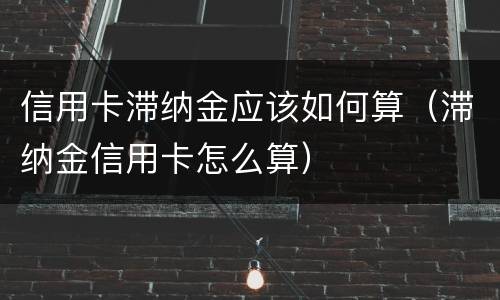 信用卡滞纳金应该如何算（滞纳金信用卡怎么算）