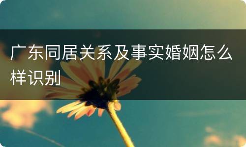 广东同居关系及事实婚姻怎么样识别
