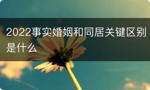 2022事实婚姻和同居关键区别是什么