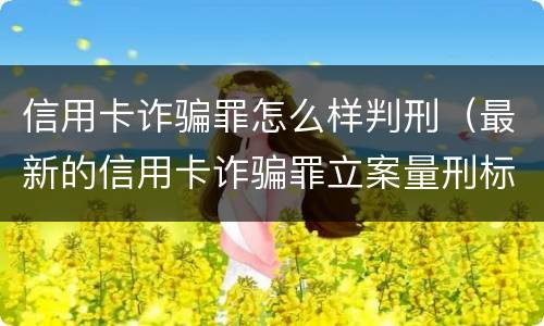 信用卡诈骗罪怎么样判刑（最新的信用卡诈骗罪立案量刑标准）