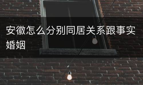 安徽怎么分别同居关系跟事实婚姻