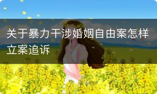关于暴力干涉婚姻自由案怎样立案追诉
