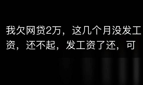 我欠网贷2万，这几个月没发工资，还不起，发工资了还，可以吗