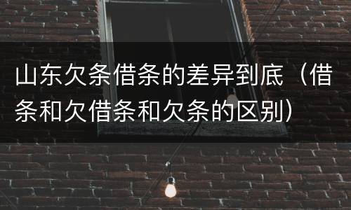 山东欠条借条的差异到底（借条和欠借条和欠条的区别）