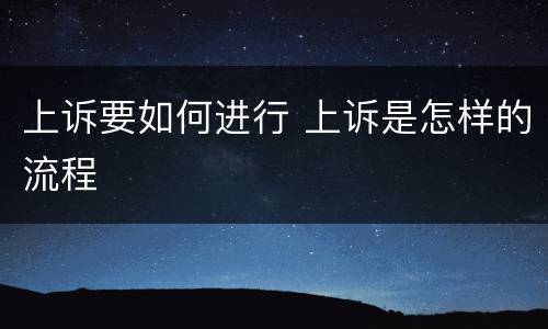 上诉要如何进行 上诉是怎样的流程