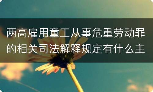 两高雇用童工从事危重劳动罪的相关司法解释规定有什么主要内容