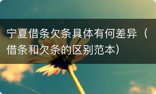 宁夏借条欠条具体有何差异（借条和欠条的区别范本）