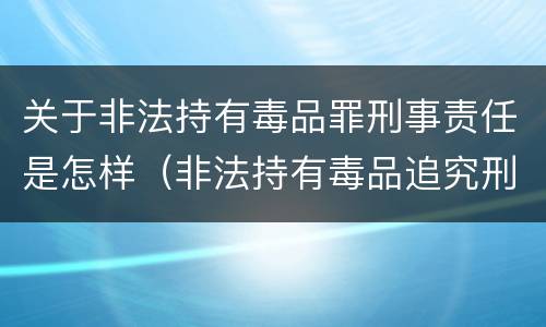 关于非法持有毒品罪刑事责任是怎样（非法持有毒品追究刑事责任吗）