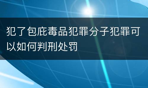 犯了包庇毒品犯罪分子犯罪可以如何判刑处罚