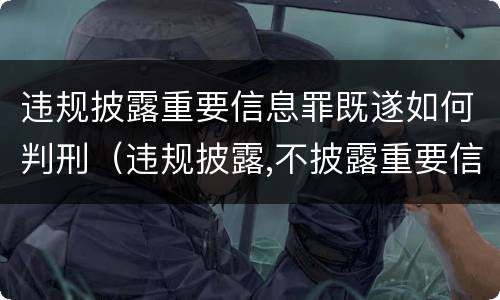 违规披露重要信息罪既遂如何判刑（违规披露,不披露重要信息罪判例）