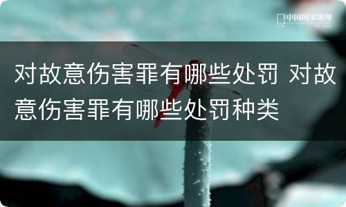 对故意伤害罪有哪些处罚 对故意伤害罪有哪些处罚种类