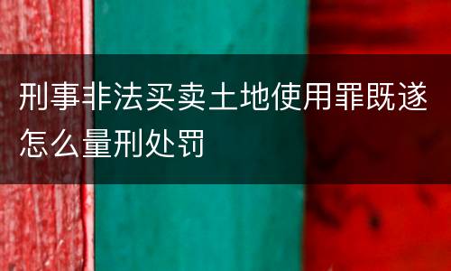 刑事非法买卖土地使用罪既遂怎么量刑处罚