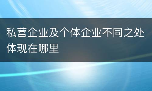 私营企业及个体企业不同之处体现在哪里