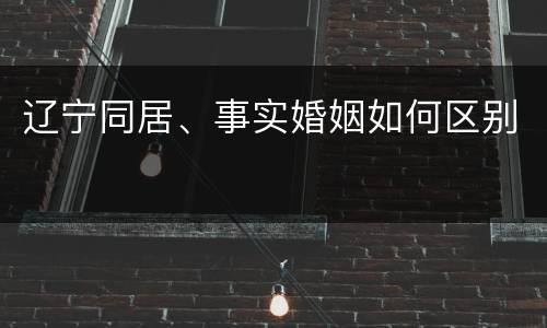 辽宁同居、事实婚姻如何区别