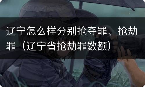 辽宁怎么样分别抢夺罪、抢劫罪（辽宁省抢劫罪数额）