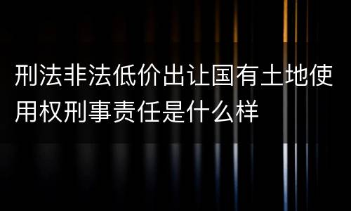 刑法非法低价出让国有土地使用权刑事责任是什么样