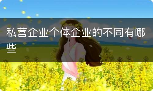 私营企业个体企业的不同有哪些