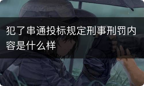 犯了串通投标规定刑事刑罚内容是什么样