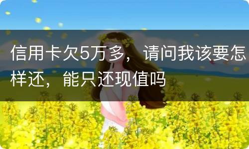 信用卡欠5万多，请问我该要怎样还，能只还现值吗