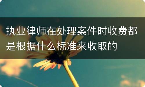 执业律师在处理案件时收费都是根据什么标准来收取的