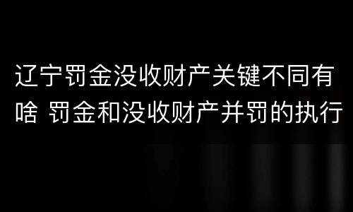 辽宁罚金没收财产关键不同有啥 罚金和没收财产并罚的执行顺序
