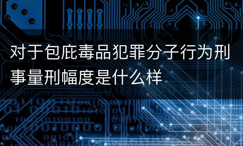 对于包庇毒品犯罪分子行为刑事量刑幅度是什么样
