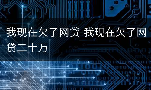 我现在欠了网贷 我现在欠了网贷二十万