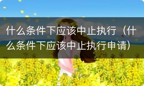 什么条件下应该中止执行（什么条件下应该中止执行申请）