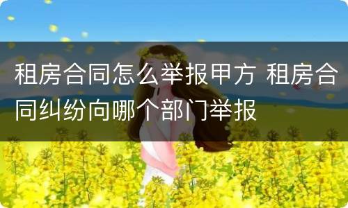 租房合同怎么举报甲方 租房合同纠纷向哪个部门举报