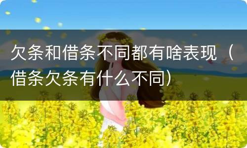 欠条和借条不同都有啥表现（借条欠条有什么不同）