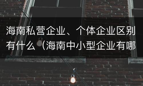 海南私营企业、个体企业区别有什么（海南中小型企业有哪些公司）
