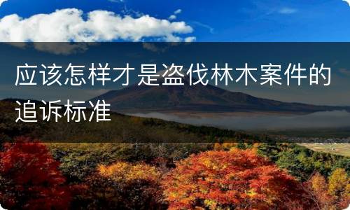 应该怎样才是盗伐林木案件的追诉标准