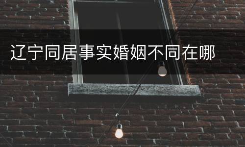 辽宁同居事实婚姻不同在哪