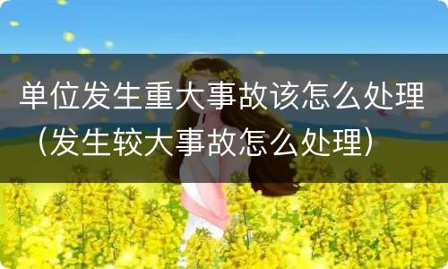 单位发生重大事故该怎么处理（发生较大事故怎么处理）