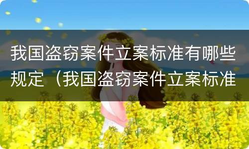 我国盗窃案件立案标准有哪些规定（我国盗窃案件立案标准有哪些规定呢）