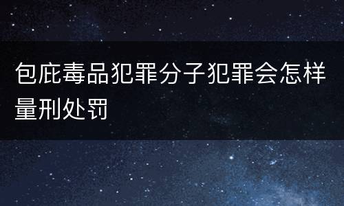 包庇毒品犯罪分子犯罪会怎样量刑处罚
