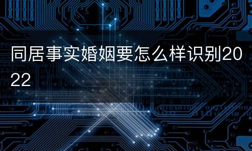 同居事实婚姻要怎么样识别2022