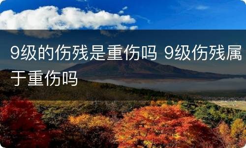 9级的伤残是重伤吗 9级伤残属于重伤吗