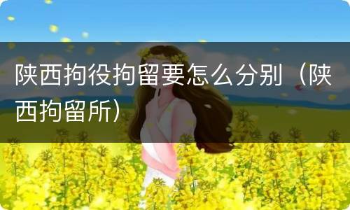 陕西拘役拘留要怎么分别（陕西拘留所）