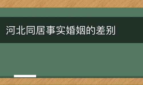 河北同居事实婚姻的差别