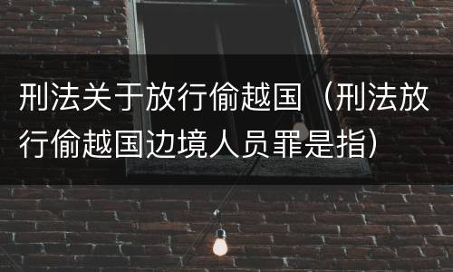 刑法关于放行偷越国（刑法放行偷越国边境人员罪是指）