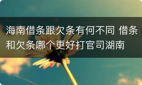 海南借条跟欠条有何不同 借条和欠条哪个更好打官司湖南