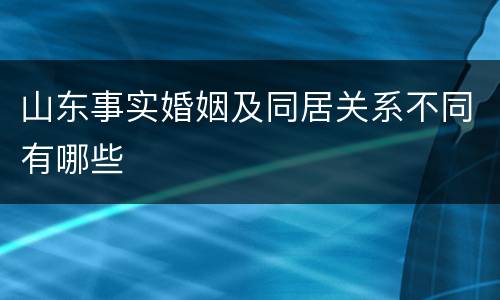 山东事实婚姻及同居关系不同有哪些