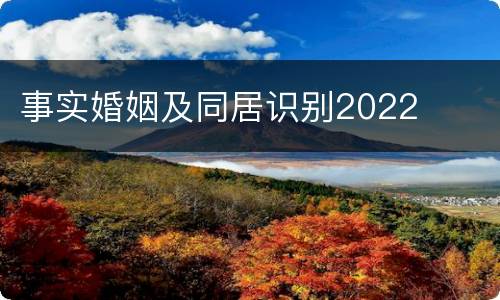 事实婚姻及同居识别2022