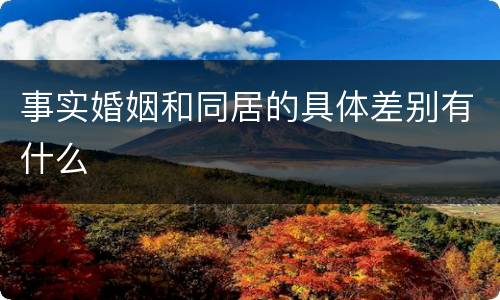 事实婚姻和同居的具体差别有什么