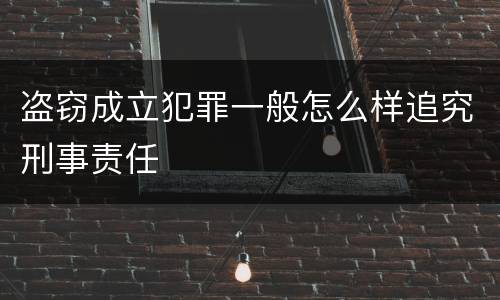 盗窃成立犯罪一般怎么样追究刑事责任