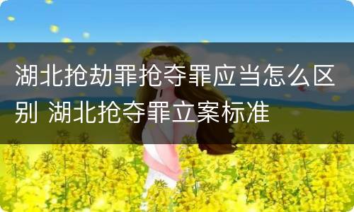 湖北抢劫罪抢夺罪应当怎么区别 湖北抢夺罪立案标准