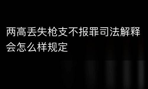 两高丢失枪支不报罪司法解释会怎么样规定